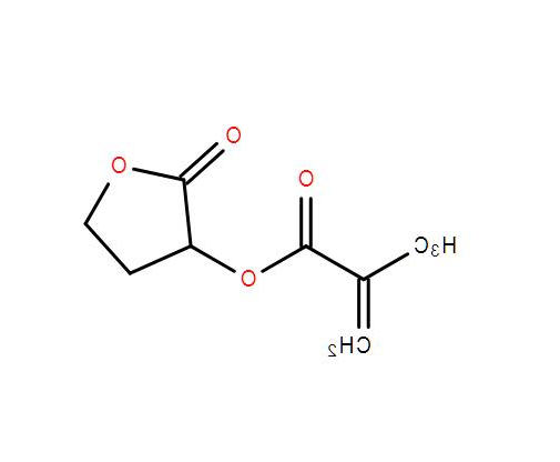 α-甲基烯丙羰氧基-γ-丁酸内酯